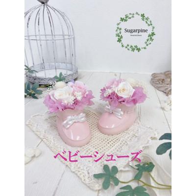 ふるさと納税 春日部市 プリザーブドフラワーアレンジ [スウィートベイビー] 春日部市 シュガーパイン