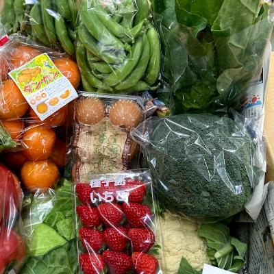 ふるさと納税 西之表市 種子島発 旬の野菜と玉子セット