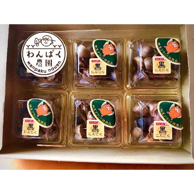 ふるさと納税 城里町 わんぱく農園の黒にんにく
