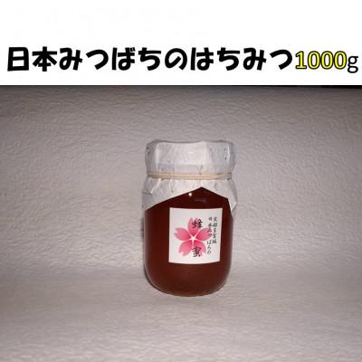 ふるさと納税 多賀城市 史都多賀城日本みつばちの蜂蜜1000g : Yahoo