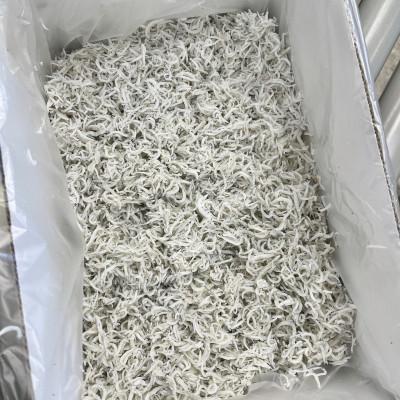 ふるさと納税 南知多町 愛知県日間賀島産・1kg釜揚げしらす・島の工場から直送 |  | 02