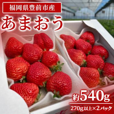 ふるさと納税 豊前市 2月以降発送 いちご[あまおう]福岡県豊前市産 約270g×2パック