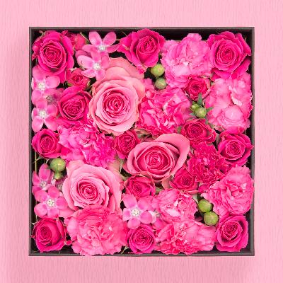 ふるさと納税 小田原市 BOXアレンジメント ピンク系 16cm