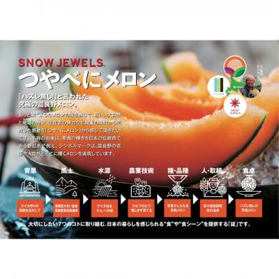 ふるさと納税 富良野市 【2027年発送先行受付】つやべにメロン2玉入箱