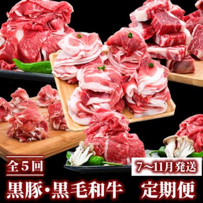 ふるさと納税 指宿市 全5回 黒豚 黒毛和牛 定期便 7〜11月発送 Z050-598 豚肉 牛肉 頒布会 国産