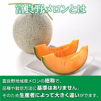 ふるさと納税 富良野市 【2027年発送先行受付】富良野メロン赤肉　厳選　2玉(大玉) 　富良野市人気のおいしいフルーツ |  | 01