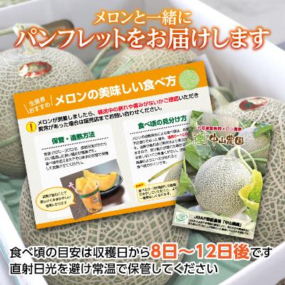ふるさと納税 富良野市 【2027年発送先行受付】富良野メロン赤肉　厳選　2玉(大玉) 　富良野市人気のおいしいフルーツ |  | 03