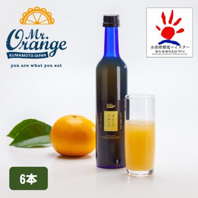 ふるさと納税 水俣市 環境マイスターの果汁100%グレープフルーツ500ml×6本セット