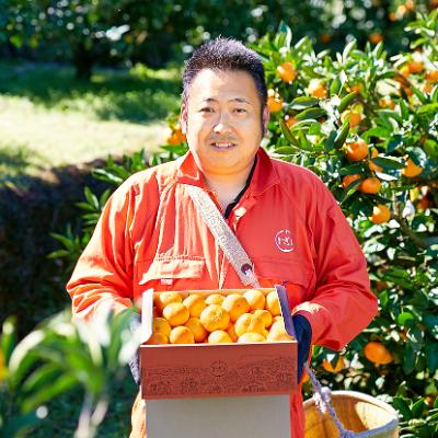 ふるさと納税 玉東町 ぎょくだん「マヤヤン」のみかん 5kg入り(サイズ混合)