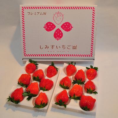 ふるさと納税 安中市 【Aコース】群馬県産いちご「やよいひめ」約400g×1　贈答用化粧箱入り | 