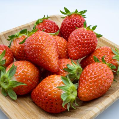 ふるさと納税 安中市 【Aコース】群馬県産いちご「やよいひめ」約400g×1　贈答用化粧箱入り |  | 02