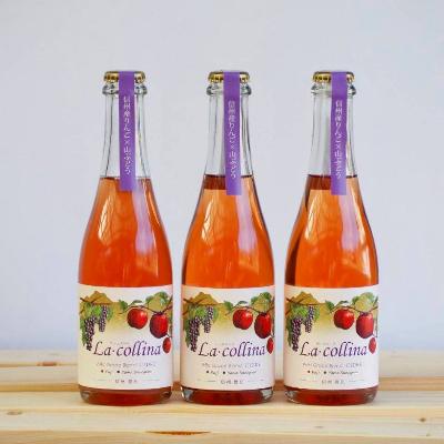 ふるさと納税 豊丘村 [丘の上ファーム原農園]シードル「ラ・コリーナ 山葡萄」ハーフボトル3本セット