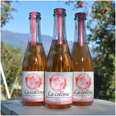 ふるさと納税 豊丘村 [丘の上ファーム原農園]シードル「ラ・コリーナ ロゼ」ハーフボトル3本セット