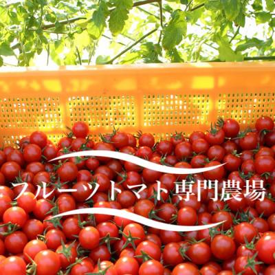ふるさと納税 水戸市 ドロップファームの美容トマト(R)3kg箱 |  | 02