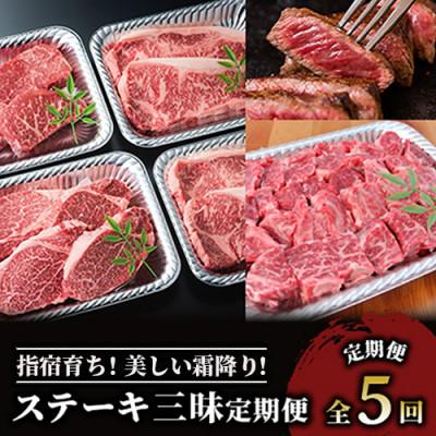 ふるさと納税 指宿市 全5回 大満足 黒毛和牛 ステーキ 三昧 定期便 Z-047 黒毛姫牛 サーロイン モモ フィレ