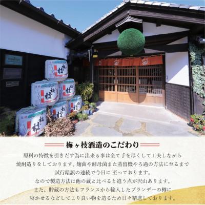 ふるさと納税 佐世保市 果肉入りフルーツリキュール6種6本セット(各500ml) |  | 03