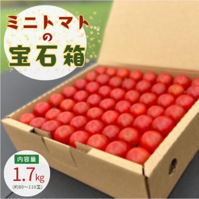 ふるさと納税 竹田市 輝くミニトマトの宝石箱