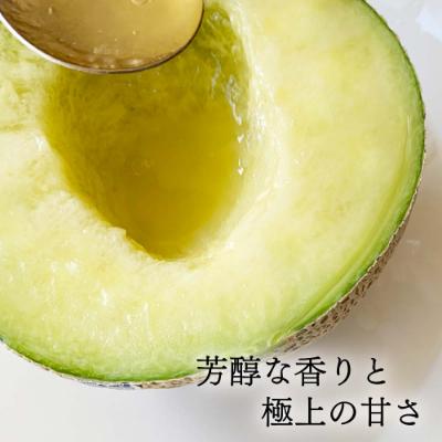 ふるさと納税 森町 クラウンメロン 訳あり2玉【森町SF】 |  | 02