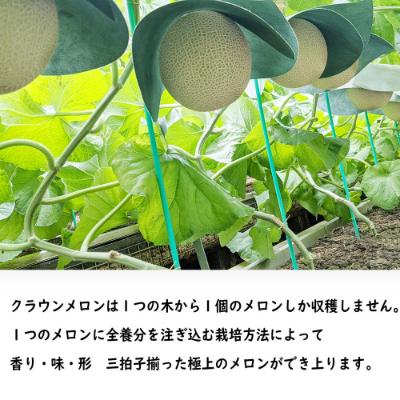 ふるさと納税 森町 クラウンメロン 訳あり2玉【森町SF】 |  | 03