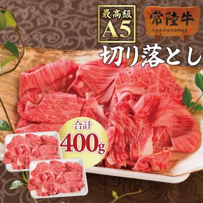 ふるさと納税 水戸市 常陸牛A5霜降り肩ロース切り落とし 400g[肉のイイジマ]
