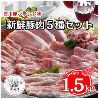 ふるさと納税 豊川市 「とよかわみー豚」5種のバラエティセット(4〜5人前)