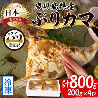 ふるさと納税 垂水市 [鹿児島産ぶり] 冷凍 ぶり カマ 4p (1個入/p、200g) [アクアブルー]