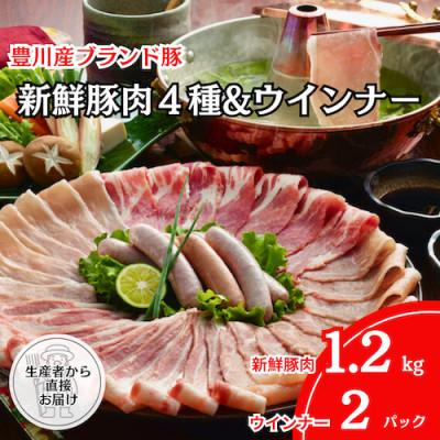ふるさと納税 豊川市 「とよかわみー豚」しゃぶしゃぶセット(ウインナー付き)[4〜5人前]