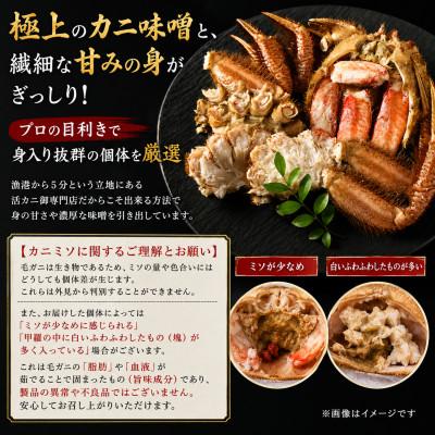 ふるさと納税 白老町 【浜ゆで自社タグ付】北海道産 冷凍ボイル毛ガニ