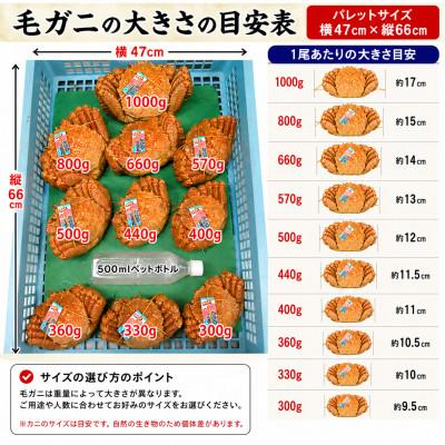 ふるさと納税 白老町 【浜ゆで自社タグ付】北海道産 冷凍ボイル毛ガニ