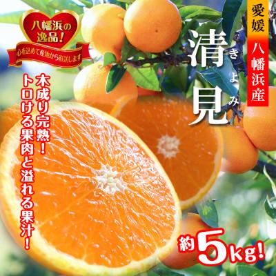 ふるさと納税 八幡浜市 2027年3月出荷開始 完熟・果汁たっぷり!!「きよみ」約5kg [D39-34]