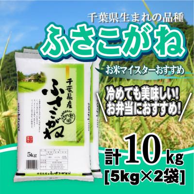 ふるさと納税 大網白里市 [令和7年産]千葉県産「ふさこがね」精米 10kg(5kg×2袋)