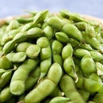 ふるさと納税 鶴岡市 A86-602 だだちゃ豆(冷凍 2.5kg)