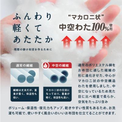ふるさと納税 柳川市 防ダニ抗菌 掛け布団 ダブルロング (ベージュ色) 東洋紡フィルハーモニー使用 |  | 02