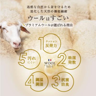 ふるさと納税 柳川市 羊毛100% 敷布団 ダブルロング (アイボリー色