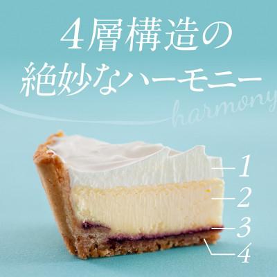 ふるさと納税 富良野市 ふらの雪どけチーズケーキセット(プレーン・ショコラ)_2
