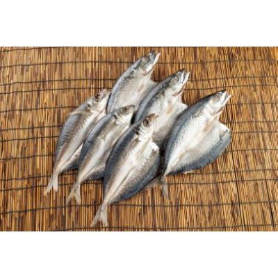 ふるさと納税 美浜町 地元産 あじ干物3尾 さば干物3尾