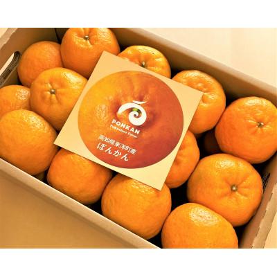 ふるさと納税 東洋町 高知県東洋町産 贈答用完熟ぽんかん5kg