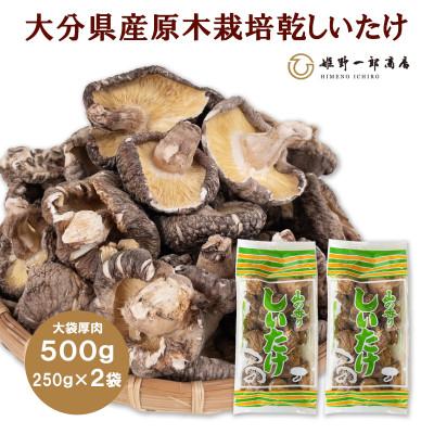 ふるさと納税 竹田市 大袋入り 大分県産原木栽培乾しいたけ 厚肉 500g(250g2袋)