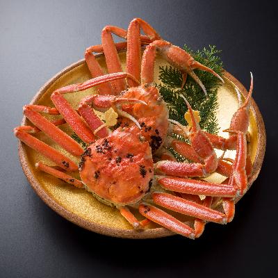 ふるさと納税 鯖江市 [11月6日漁解禁]福井冬の味覚!越前がに 900-1,000g × 2杯