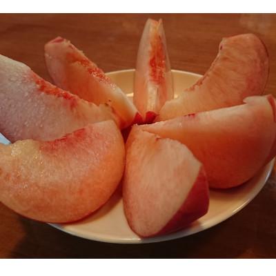 ふるさと納税 山梨市 2026年発送【旬の桃 約2kg 5〜7玉】 坂の上の桃 硬くて甘い! 食べ応え抜群!の画像