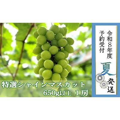 ふるさと納税 貝塚市 [貝塚市産]特選シャインマスカット650g以上 令和8年度早期予約8月中旬以降順次発送