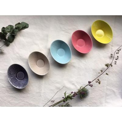 ふるさと納税 瀬戸市 オーバルミニボウル5色セット