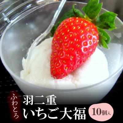 ふるさと納税 豊川市 ふわとろ羽二重(はぶたえ)いちご大福