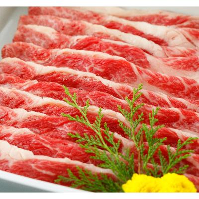 ふるさと納税 小国町 GI くまもとあか牛 すきやき 500g(小国町)