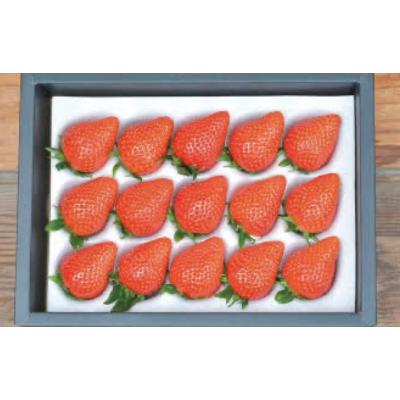 ふるさと納税 湖南市 滋賀県湖南市産 朝採り摘みたて完熟いちご 約400〜450g