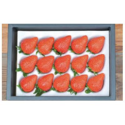 ふるさと納税 湖南市 滋賀県湖南市産 完熟いちご2品種食べ比べ 化粧箱入り
