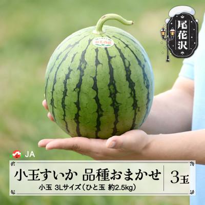 ふるさと納税 尾花沢市 尾花沢産小玉すいか 3Lサイズ(約2.5kg)×3玉 令和8年産 JA ja-suk3x3