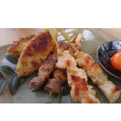 ふるさと納税 岡崎市 岡崎おうはん地鶏 焼き鳥セット ギフトやおもてなし、バーベキューにおすすめ