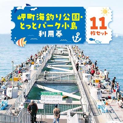 ふるさと納税 岬町 岬町海釣り公園・とっとパーク小島利用券[11枚セット]