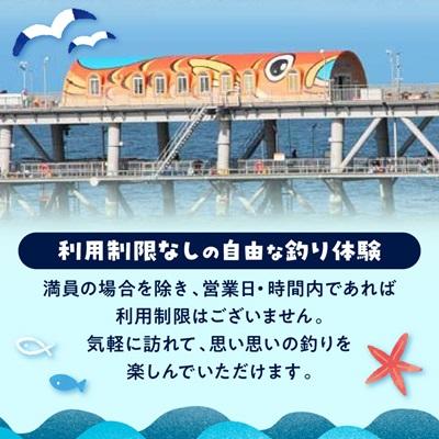 ふるさと納税 岬町 岬町海釣り公園・とっとパーク小島利用券【大人用3枚セット】 |  | 02